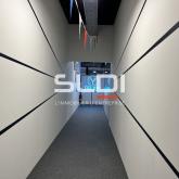 Activités A LOUER - CALUIRE ET CUIRE - 1 060 m²