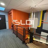 Bureaux A LOUER - DARDILLY - 343 m²