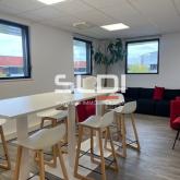 Bureaux A VENDRE OU A LOUER - RILLIEUX LA PAPE - 492 m²