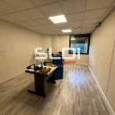 Activités A LOUER - SAINT QUENTIN FALLAVIER - 205 m²