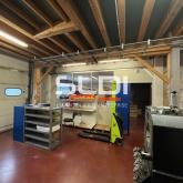 Activités A LOUER - SAINT QUENTIN FALLAVIER - 205 m²