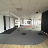 Bureaux A VENDRE OU A LOUER - SAINT DIDIER AU MONT D'OR - 500 m²