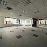 Bureaux A VENDRE OU A LOUER - SAINT DIDIER AU MONT D'OR - 500 m²