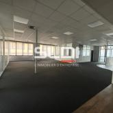 Bureaux A VENDRE OU A LOUER - SAINT DIDIER AU MONT D'OR - 500 m²