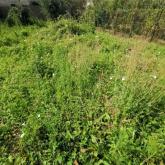 Terrain 473㎡ SAINT GEORGES D ESPERANCHE