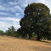 Maison 143㎡ ORNACIEUX BALBINS Maison 143㎡ ORNACIEUX BALBINS
