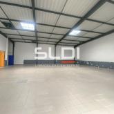 Activités A LOUER - LYON - 364 m²