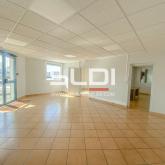 Locaux d'activités A LOUER - CHASSIEU - 1 112 m² Locaux d'activités A LOUER - CHASSIEU - 1 112 m²