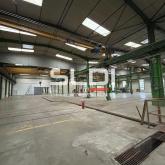 Activités A VENDRE OU A LOUER - JASSANS RIOTTIER - 7 883 m²