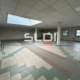 Activités A VENDRE OU A LOUER - JASSANS RIOTTIER - 7 883 m²