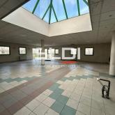 Activités A VENDRE OU A LOUER - JASSANS RIOTTIER - 7 883 m²