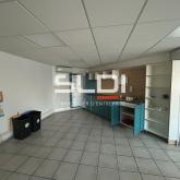 Activités A VENDRE OU A LOUER - JASSANS RIOTTIER - 7 883 m²