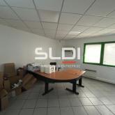 Activités A VENDRE OU A LOUER - JASSANS RIOTTIER - 7 883 m²