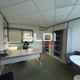 Activités A VENDRE OU A LOUER - JASSANS RIOTTIER - 7 883 m²