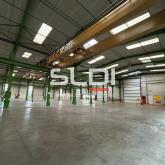 Activités A VENDRE OU A LOUER - JASSANS RIOTTIER - 7 883 m²