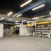 Locaux d'activités A LOUER - FLEURIEU SUR SAONE - 1 480 m²