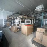 Activités A LOUER - CHAMPAGNE AU MONT D'OR - 355 m²