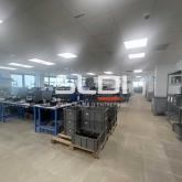 Activités A LOUER - CHAMPAGNE AU MONT D'OR - 355 m²