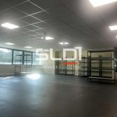 Activités A LOUER - CHAMPAGNE AU MONT D'OR - 355 m²