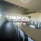 Activités A LOUER - CHAMPAGNE AU MONT D'OR - 355 m²