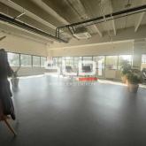 Activités A LOUER - CHAMPAGNE AU MONT D'OR - 355 m²