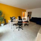 Bureaux A VENDRE OU A LOUER - LYON - 54 m²