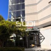 Bureaux A LOUER - LYON - 325 m²