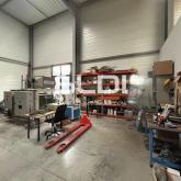 Locaux d'activités A LOUER - NEUVILLE SUR SAONE - 230 m²