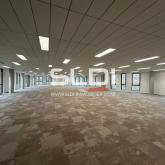 Bureaux A LOUER - LIMONEST - 5 998 m²