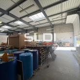 Locaux d'activités A LOUER - BOURGOIN JALLIEU - 600 m²
