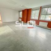Locaux d'activités A LOUER - VILLEURBANNE - 267 m² Locaux d'activités A LOUER - VILLEURBANNE - 267 m²