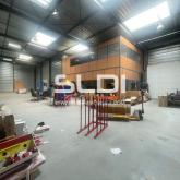 Locaux d'activités A VENDRE - CHAPONOST - 420 m² Locaux d'activités A VENDRE - CHAPONOST - 420 m²