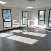 Locaux d'activités A LOUER - CHASSIEU - 630 m²