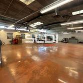 Locaux d'activités A LOUER - CHAMPAGNE AU MONT D'OR - 1 735 m²