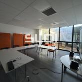 Locaux d'activités A LOUER - CHAMPAGNE AU MONT D'OR - 1 735 m² Locaux d'activités A LOUER - CHAMPAGNE AU MONT D'OR - 1 735 m²