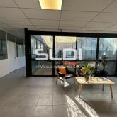 Locaux d'activités A LOUER - CHAMPAGNE AU MONT D'OR - 1 735 m² Locaux d'activités A LOUER - CHAMPAGNE AU MONT D'OR - 1 735 m²