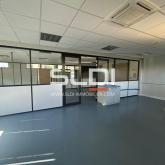 Locaux d'activités A LOUER - DARDILLY - 1 854 m²