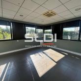 Locaux d'activités A LOUER - DARDILLY - 1 854 m²