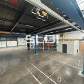 Locaux d'activités A LOUER - DARDILLY - 1 854 m²