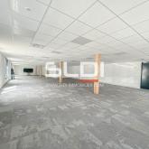 Bureaux A LOUER - SAINTE FOY LES LYON - 1 072 m²