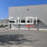 Locaux d'activités A VENDRE - LOZANNE - 4 775 m²