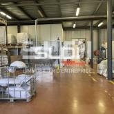 Locaux d'activités A VENDRE - LOZANNE - 4 775 m²