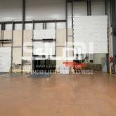 Locaux d'activités A VENDRE - LOZANNE - 4 775 m²