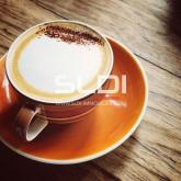 Commerces A LOUER - NEUVILLE SUR SAONE - 120 m²