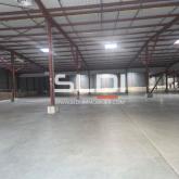Locaux d'activités A LOUER - SAINT CHAMOND - 8 439 m²