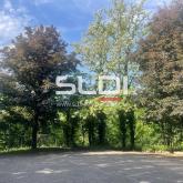 Bureaux A LOUER - ECULLY - 234 m²