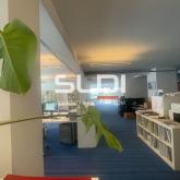  A LOUER - LYON - -