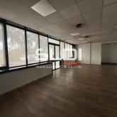 Bureaux A VENDRE - SAINT DIDIER AU MONT D'OR - 200 m² Bureaux A VENDRE - SAINT DIDIER AU MONT D'OR - 200 m²