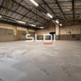 Locaux d'activités A VENDRE - SAINT GENEST LERPT - 235 m²