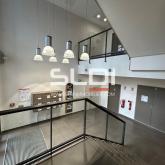 Bureaux A LOUER - LIMONEST - 603 m² Bureaux A LOUER - LIMONEST - 603 m²
